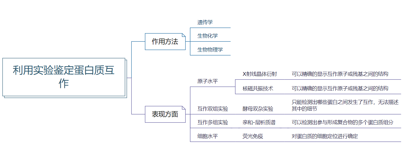 利用实验鉴定蛋白质互作